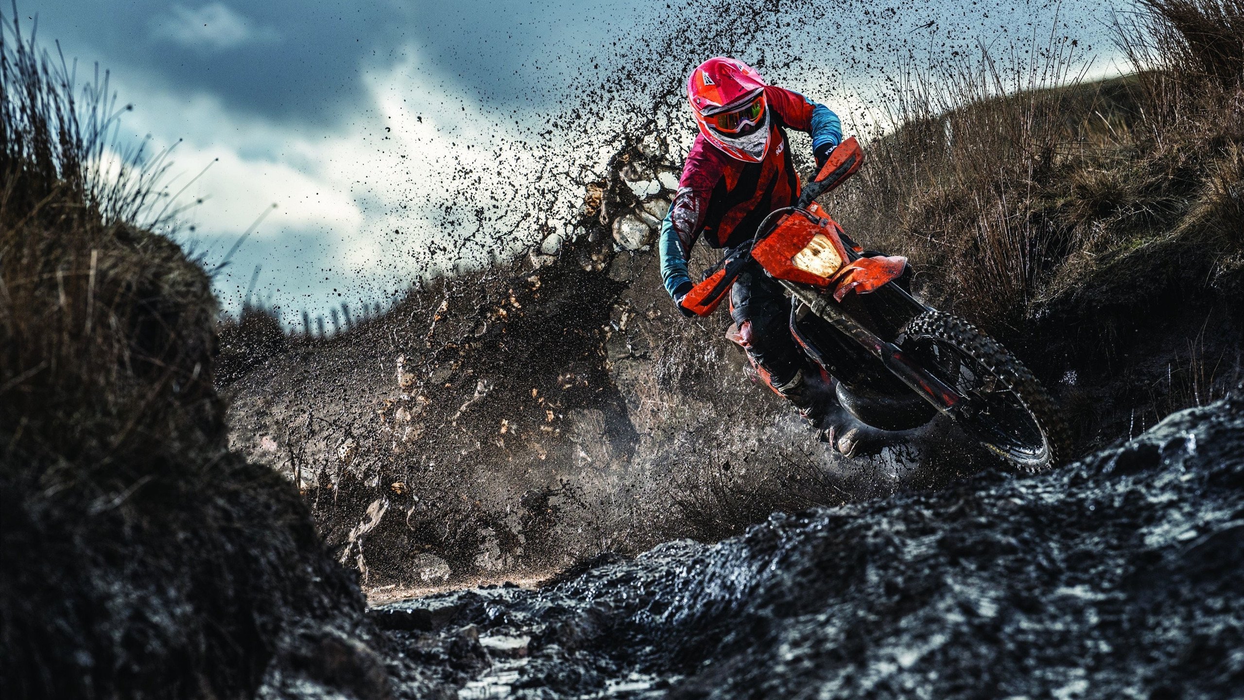 欧文冠军级表现点燃赛场，当湖人遇见上海，篮球成为世界语言