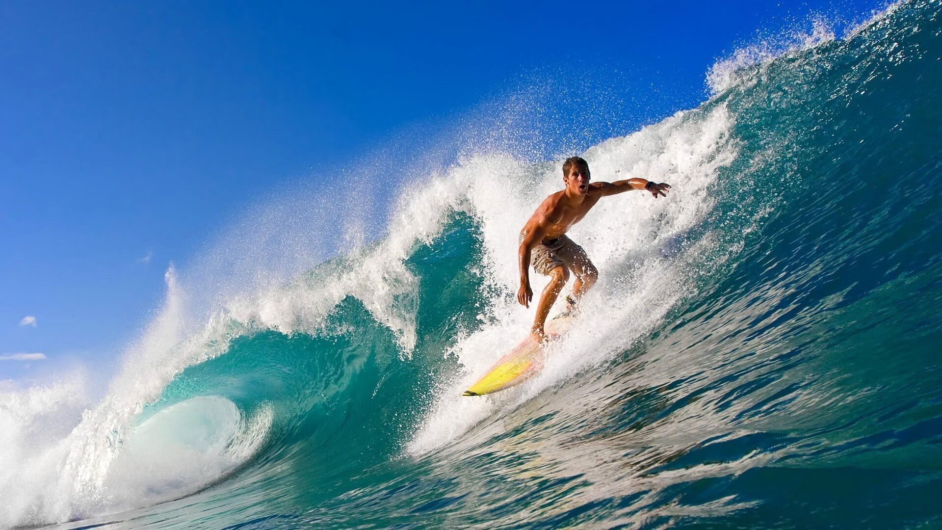 雄鹿战术铁幕,当詹姆斯用得分撕碎深圳队的防守剧本